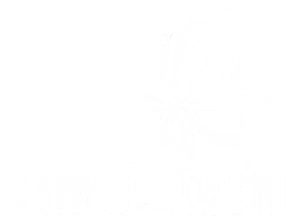 japan_foundation
